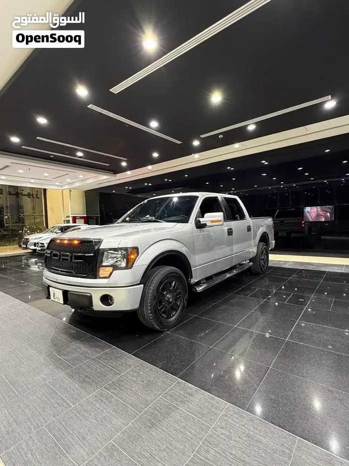 Ford F-150 2013 photo 3