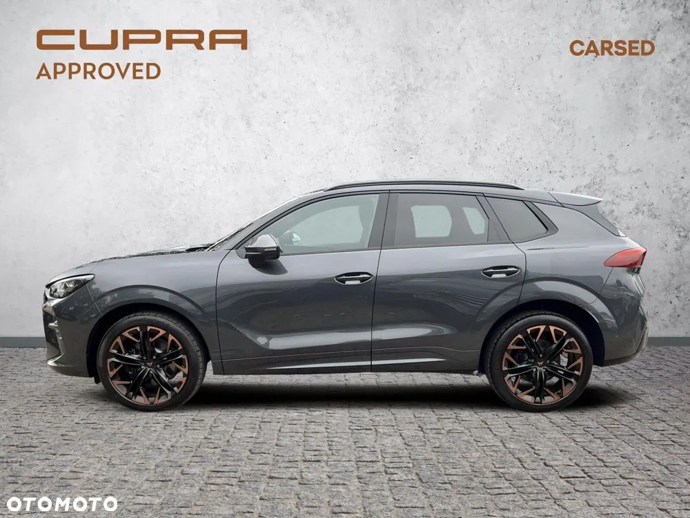 Cupra Terramar 2025 photo 2