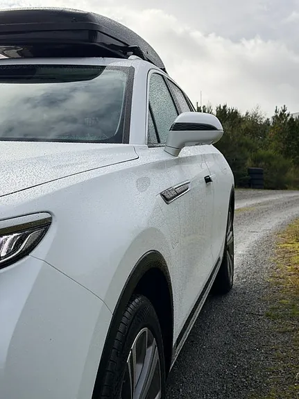 Hongqi E-Hs9 2022 photo 3