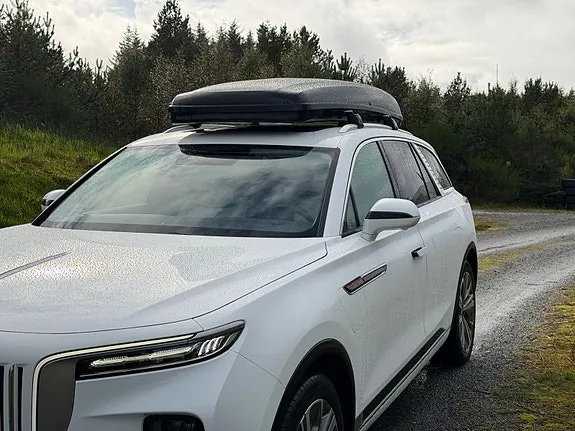 Hongqi E-Hs9 2022 photo 2