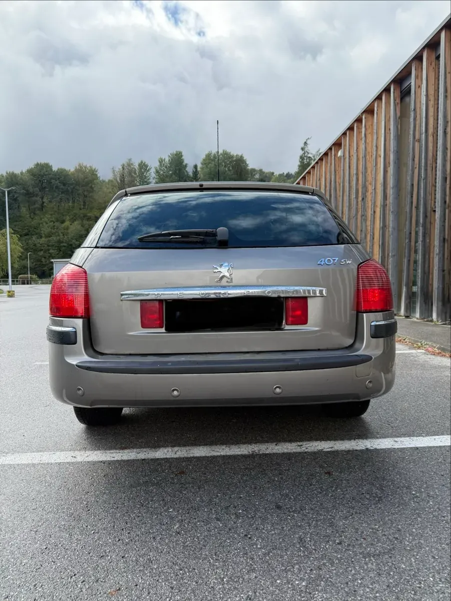 Peugeot 407 2006 photo 3