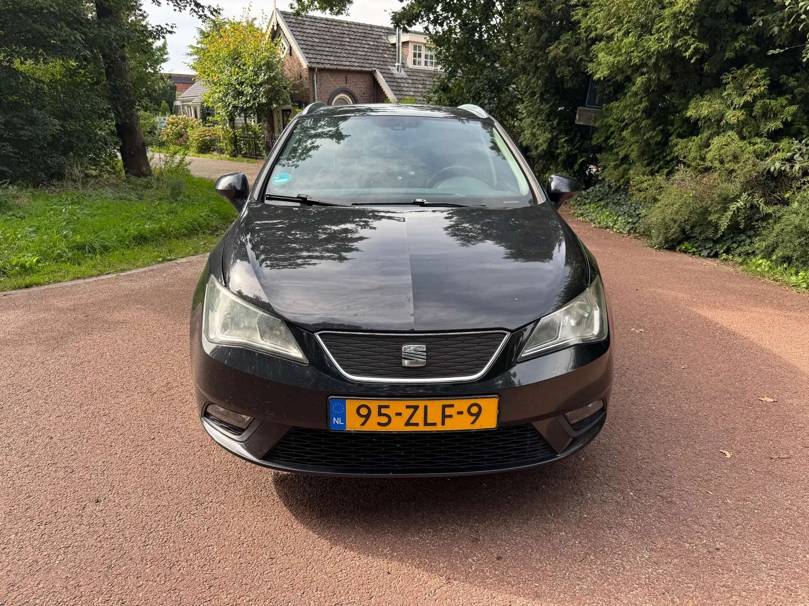 Seat Ibiza 2012 photo 2