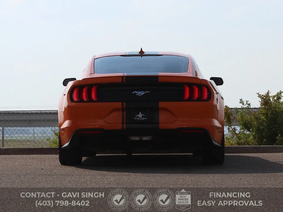 Ford Mustang 2020 photo 4