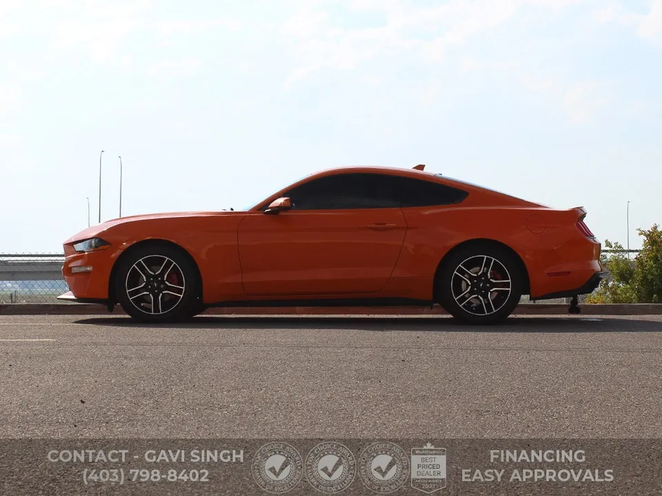 Ford Mustang 2020 photo 3
