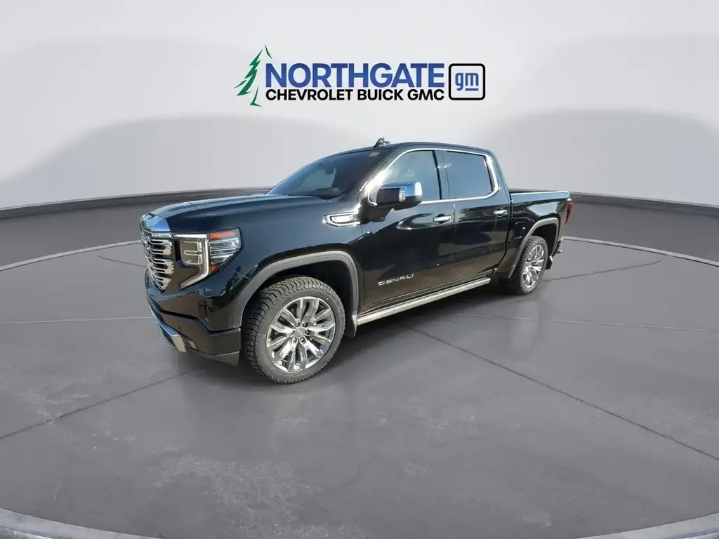 GMC Sierra 1500 2024 photo 4