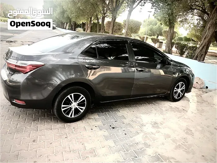 Toyota Corolla 2019 photo 2