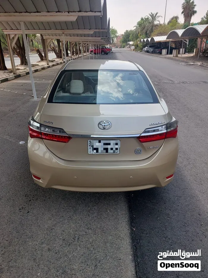 Toyota Corolla 2019 photo 5