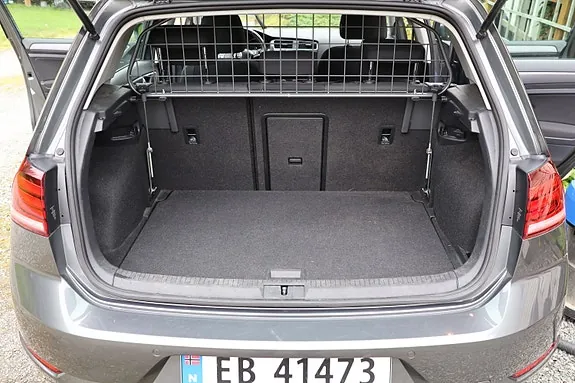 Volkswagen E-Golf 2020 photo 4