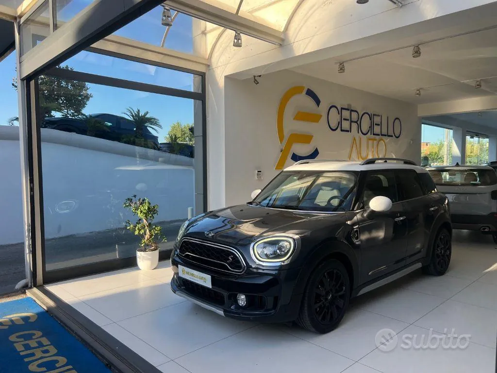 Mini Countryman
