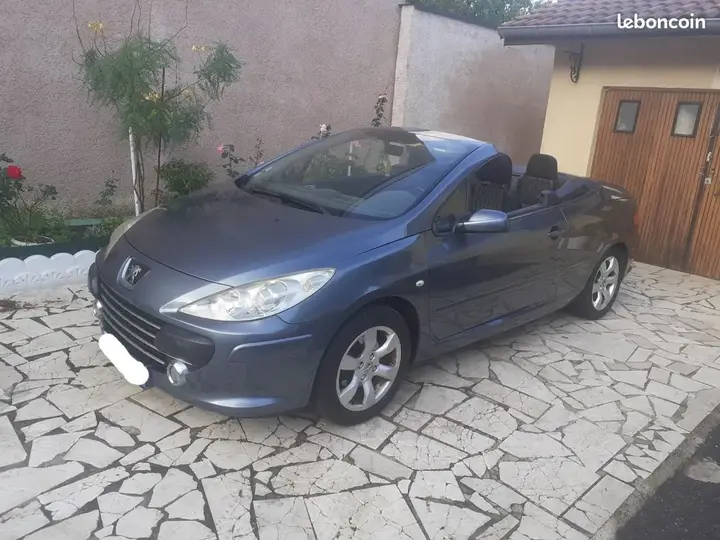 Peugeot 307 2007 photo 2