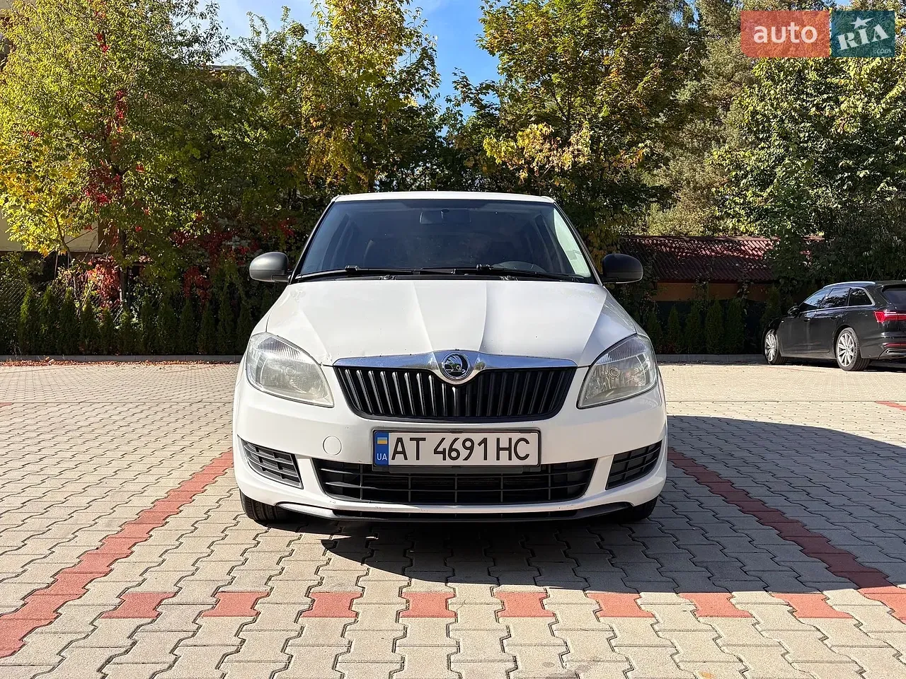 Skoda Fabia 2013 photo 2
