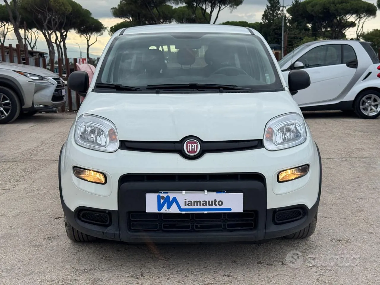 Fiat Panda 2024 photo 2
