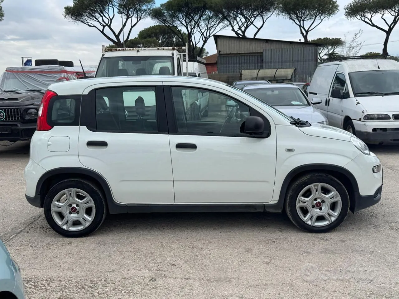 Fiat Panda 2024 photo 4