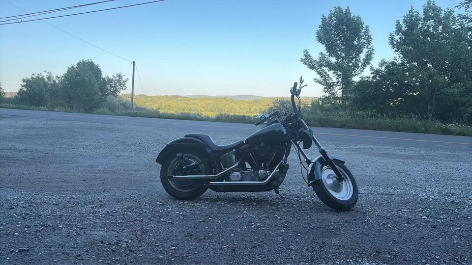 Harley-Davidson Fxstc Softail 1990 photo 3