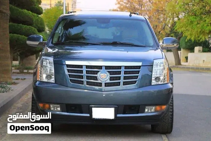 Cadillac Escalade 2010 photo 2