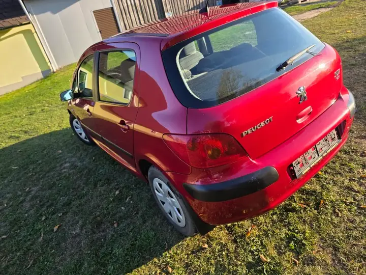 Peugeot 307 2003 photo 3