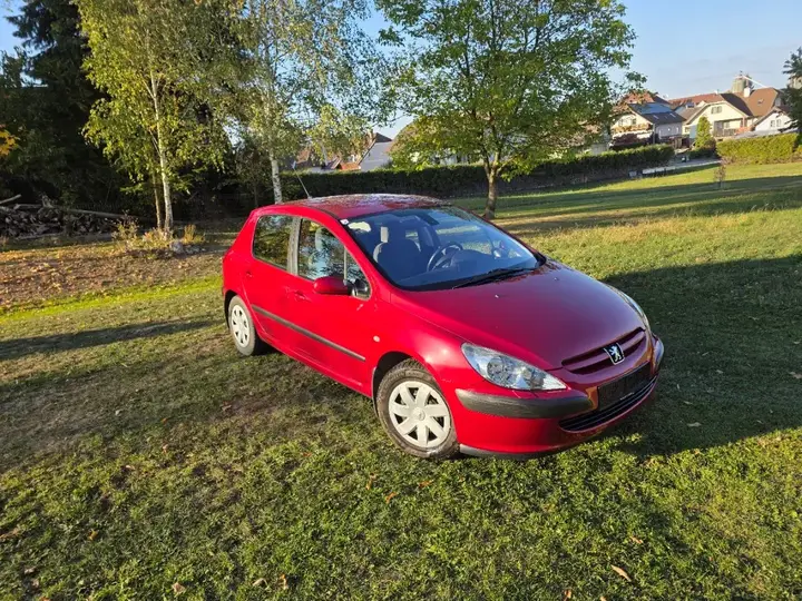 Peugeot 307