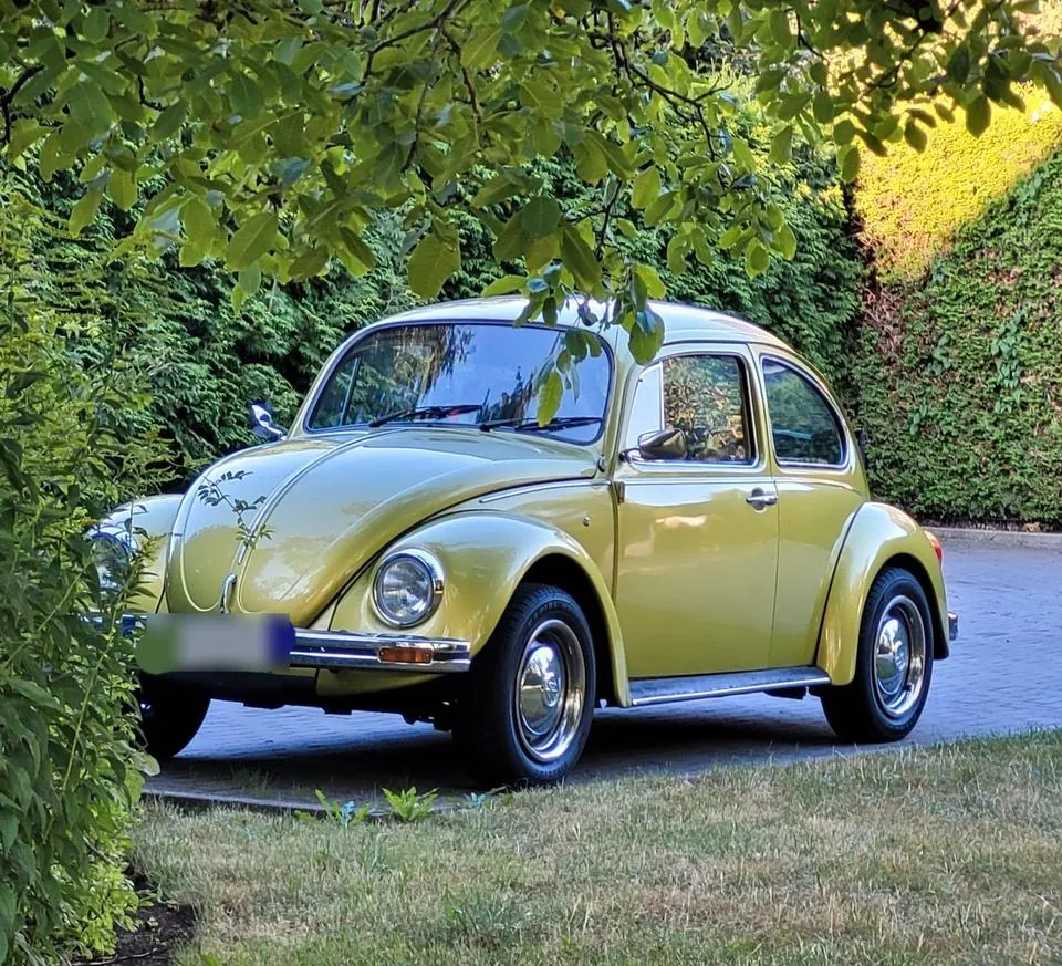 Volkswagen Käfer