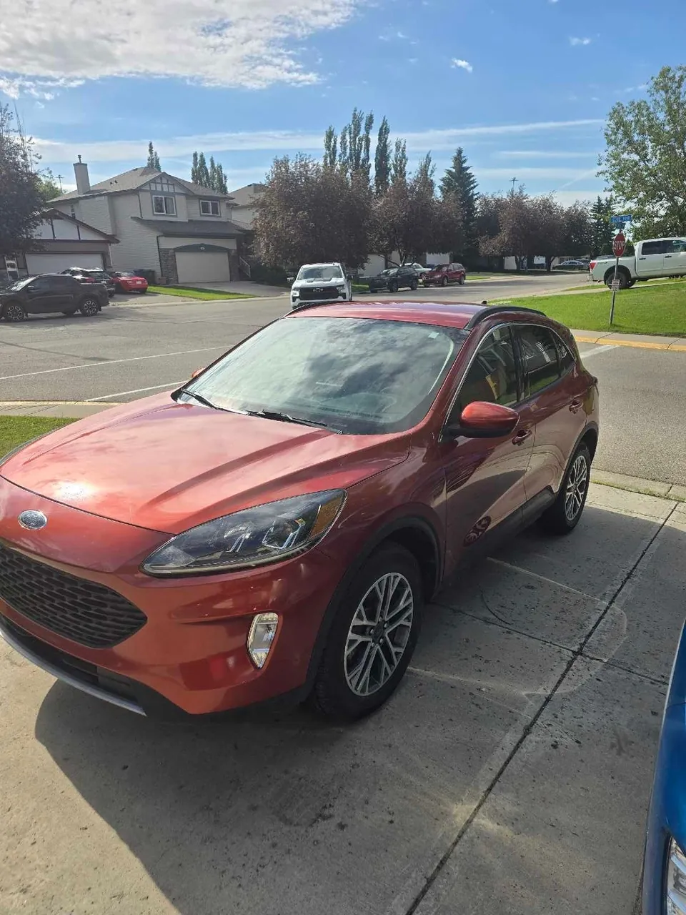 Ford Escape 2020 photo 3