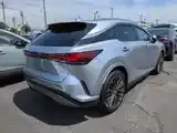 Lexus Rx 2025 photo 3