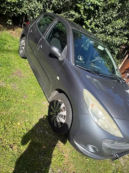 Peugeot 206 2012 photo 2