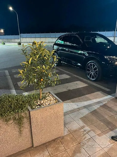 Audi Q5 2022 photo 4