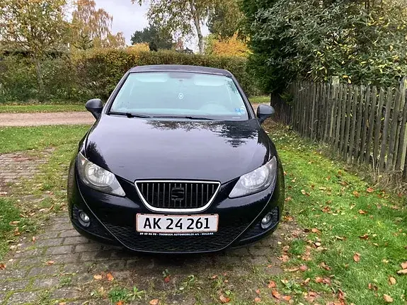Seat Ibiza 2009 photo 2