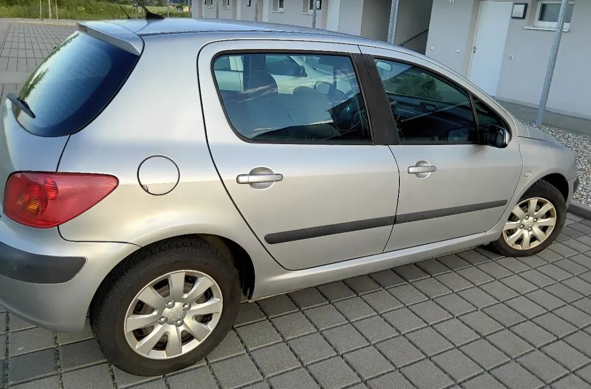 Peugeot 307 2001 photo 2