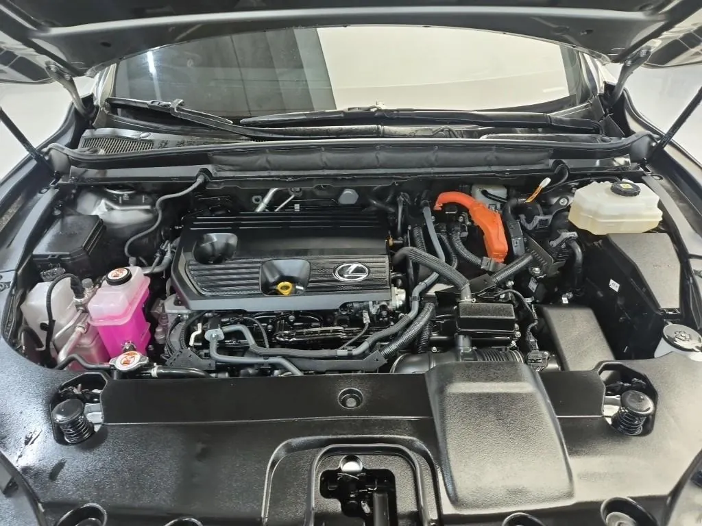Lexus Rx 2024 photo 5