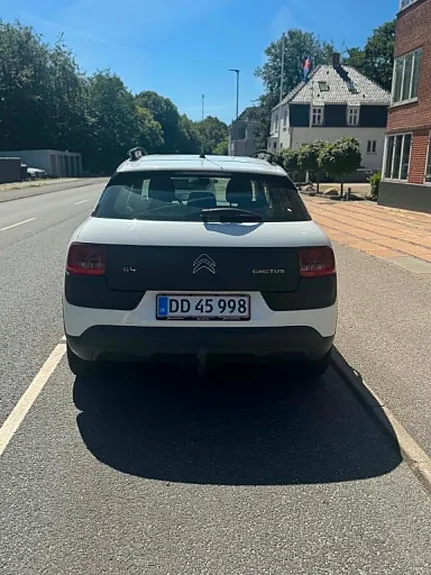 Citroen C4 Cactus 2015 photo 4