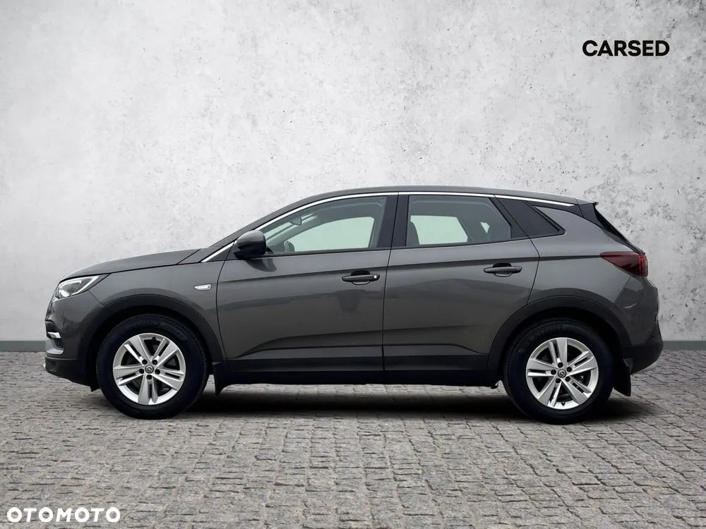 Opel Grandland X 2021 photo 3