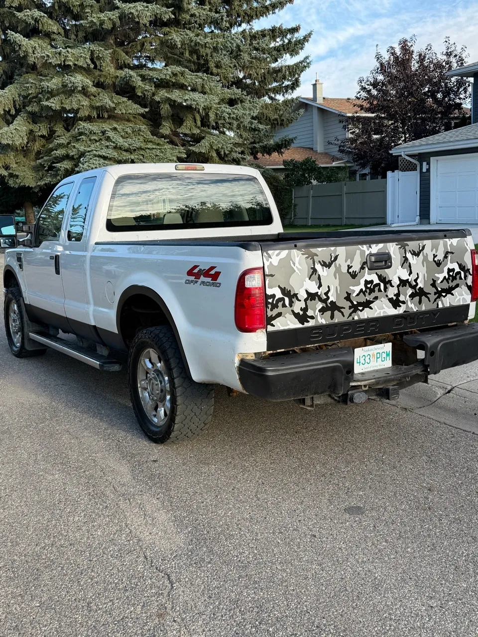Ford Super Duty 2008 photo 4