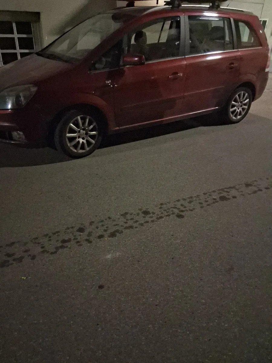 Opel Zafira 2006 photo 3