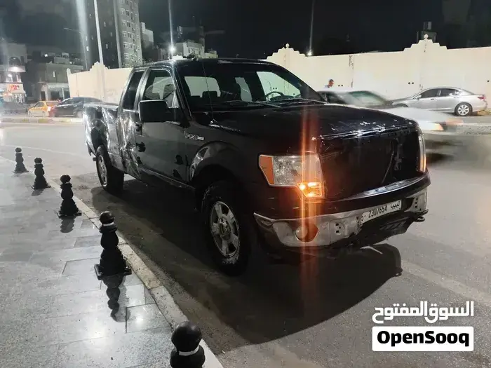 Ford F-150 2010 photo 3