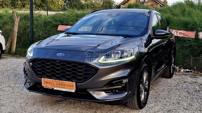 Ford Kuga 2020 photo 5
