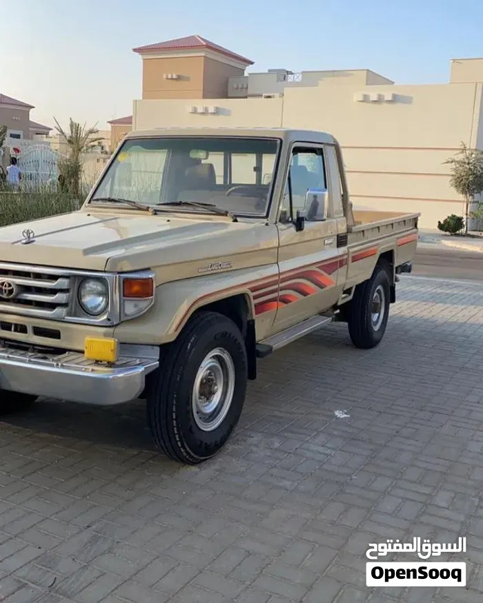 Toyota Land Cruiser 2004 photo 2