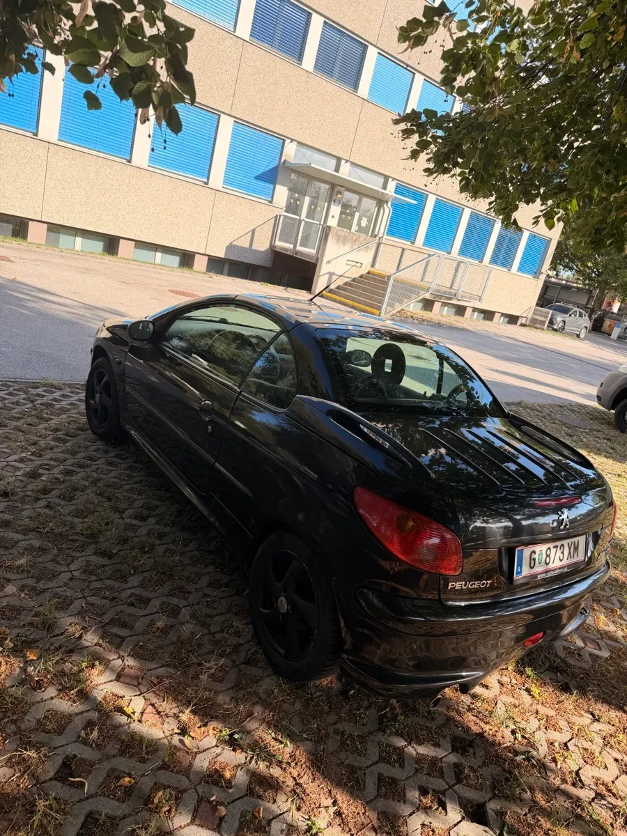 Peugeot 206 2004 photo 2