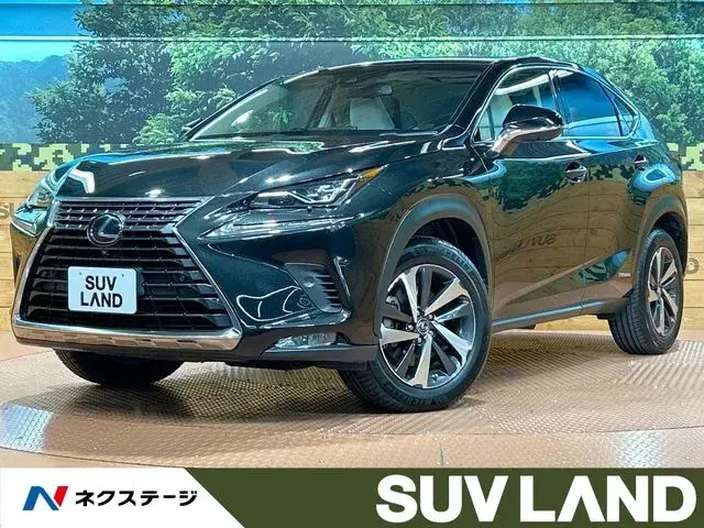 Toyota Nx 300H