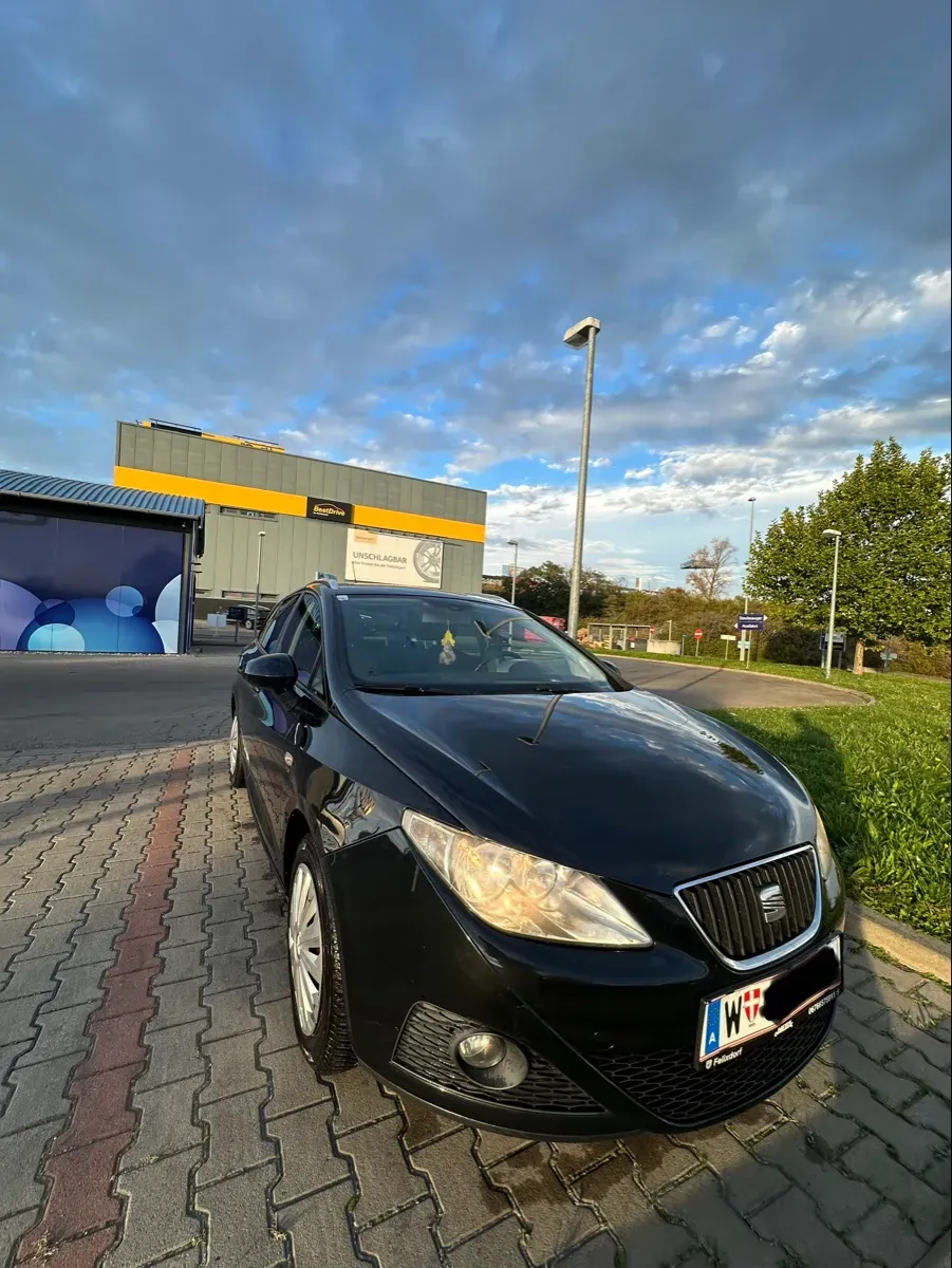 Seat Ibiza 2011 photo 2