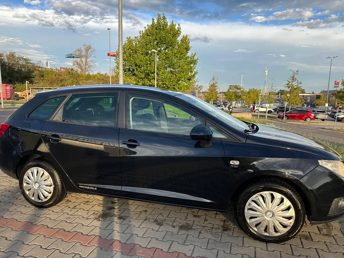 Seat Ibiza 2011 photo 3