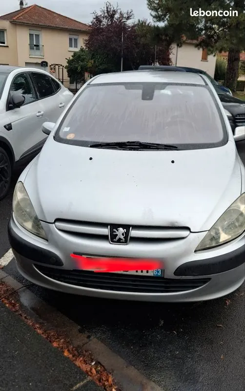 Peugeot 307 2004 photo 2