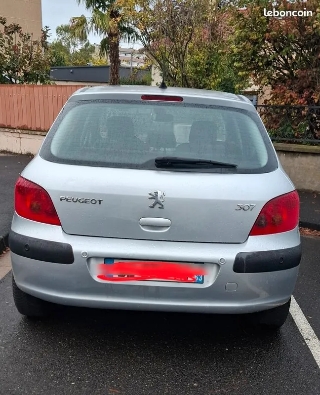 Peugeot 307 2004 photo 3