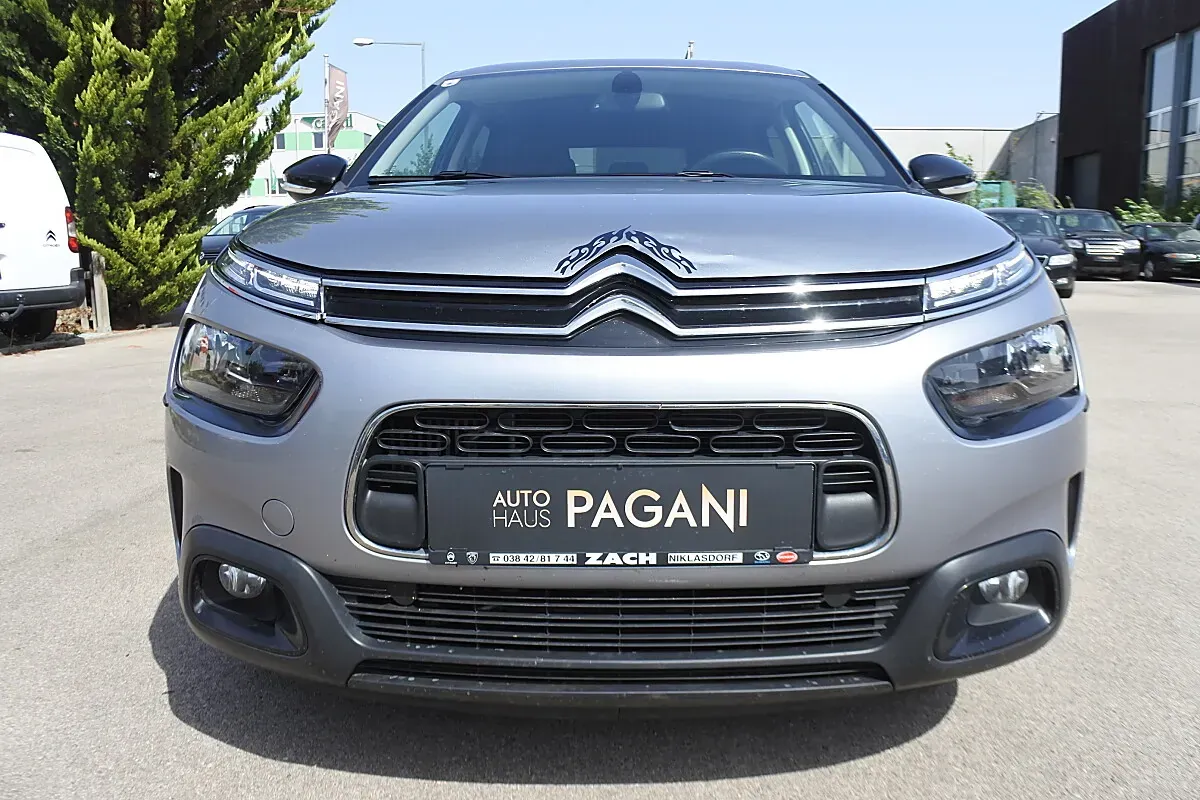 Citroen C4 Cactus 2019 photo 3