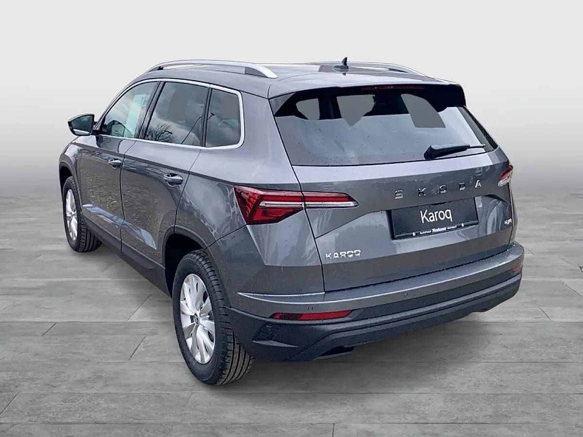 Skoda Karoq 2026 photo 3