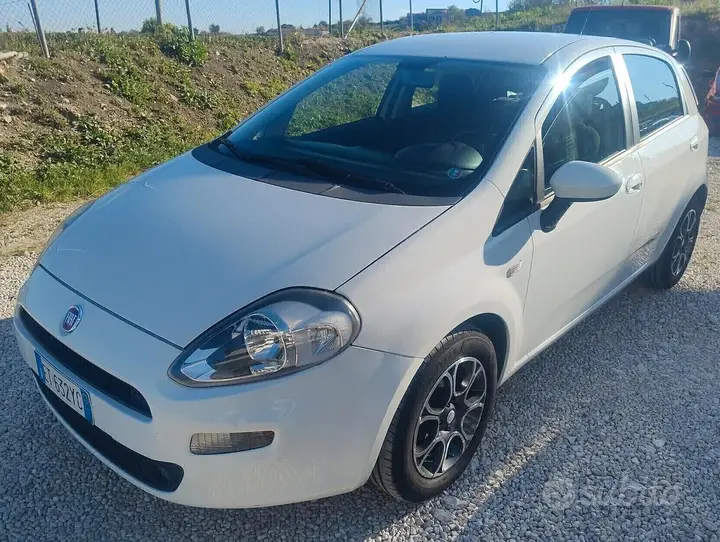 Fiat Punto