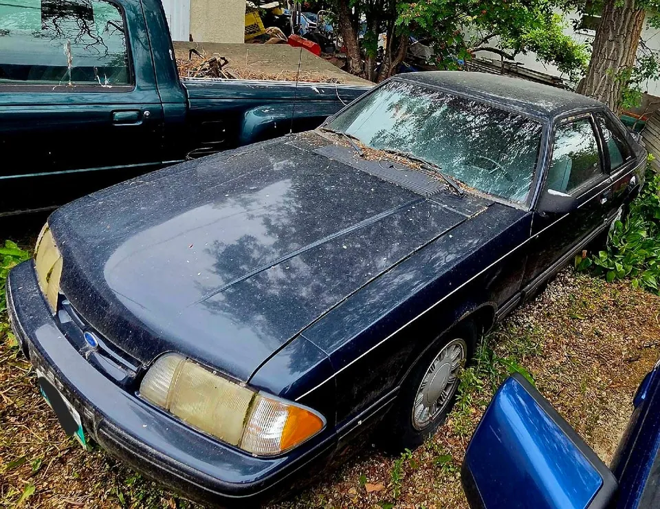 Ford Mustang 1989 photo 2