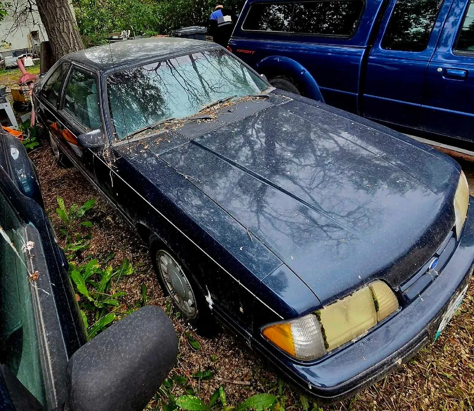 Ford Mustang 1989 photo 3