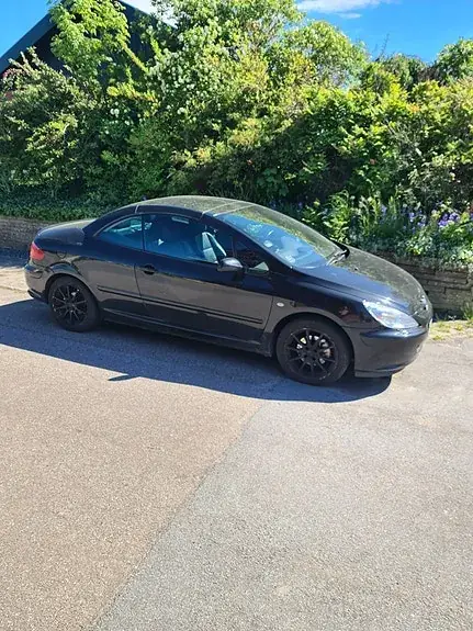 Peugeot 307 2004 photo 3