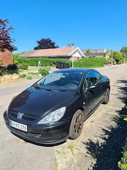 Peugeot 307 2004 photo 4