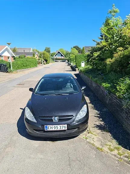Peugeot 307 2004 photo 2